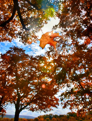 Falling for you