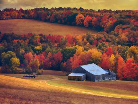 Autumn reminisce