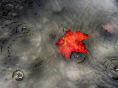 Dodging raindrops