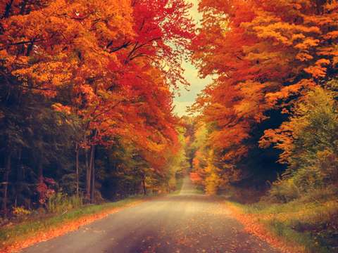 Road to bliss