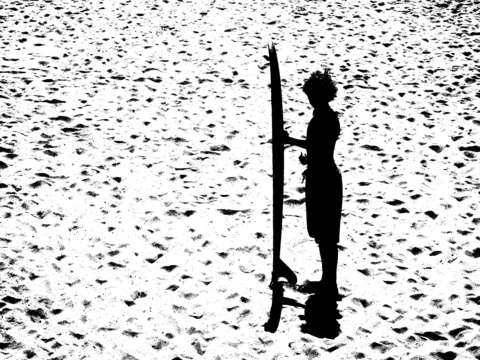 THE SURFER