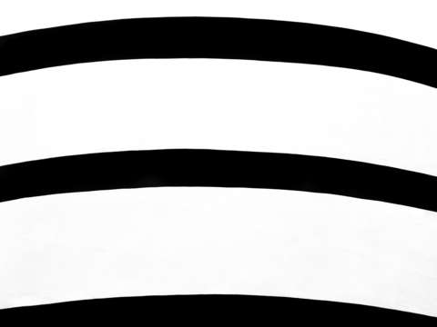 THE GUGGENHEIM
