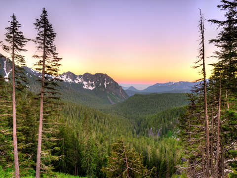 Panoramic view of mount rainier national park