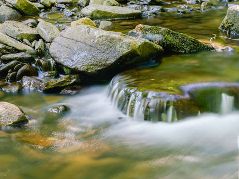 Spring on kitchen creek
