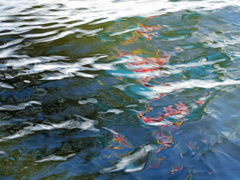 Water 6n10260