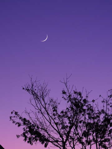 Shoot for the Moon