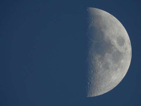 Half Moon