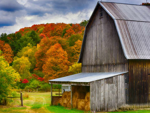 Rustic foliage