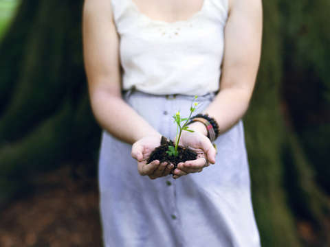 Learning to grow
