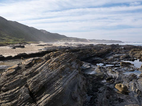Beach Scene 001