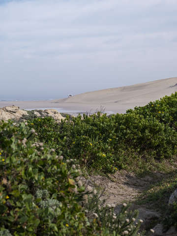 Beach Scene 002