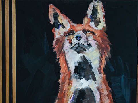 Stay foxy