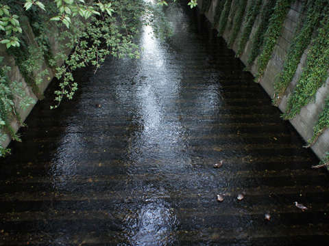 Naka meguro canal