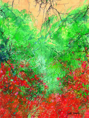 Wildflower country