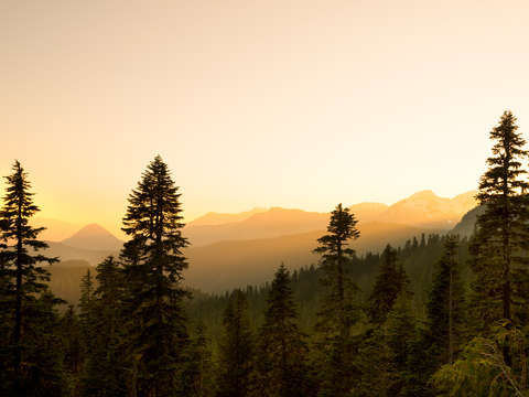 Mount Rainier National Park