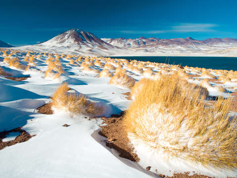 Laguna Miscanti