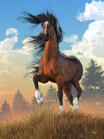 Mustang on a windy day