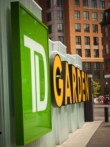 The garden 2