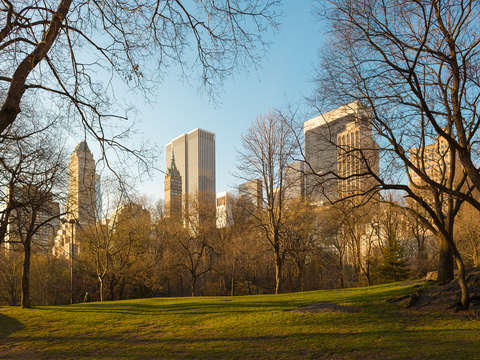Skyline of midtown manhattan 3