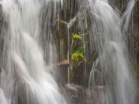 Paradise Falls #1