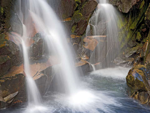 Paradise Falls #2