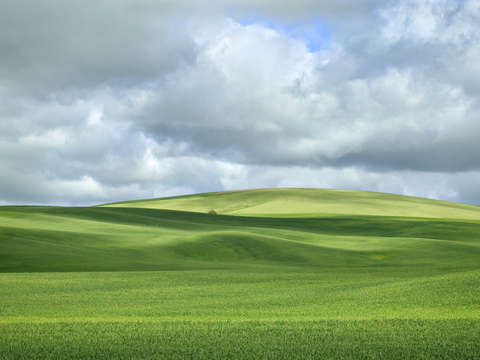 Spring in the Palouse