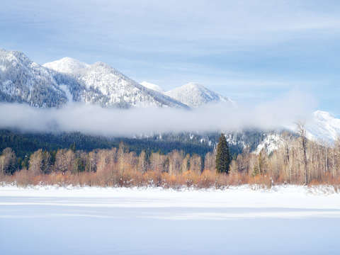 Cascades Winter Portrait