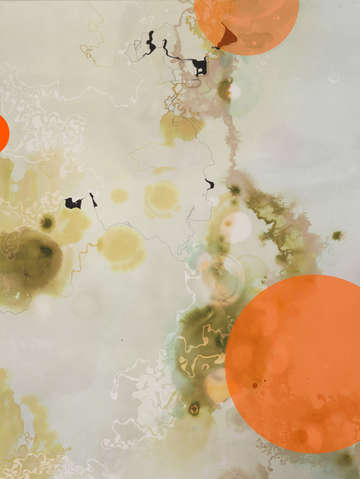Nasturtiums 4