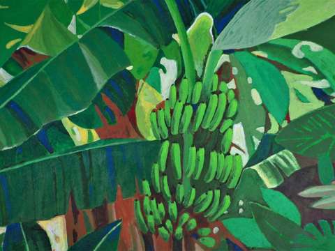 Banana tree ii