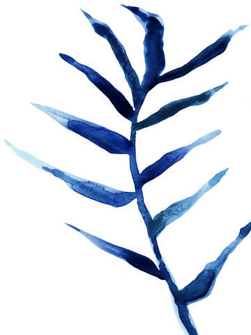 Branch I