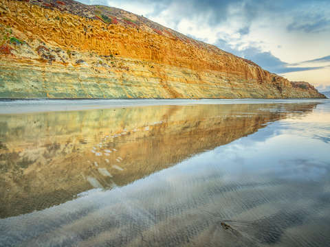 A Reflection At Torrey
