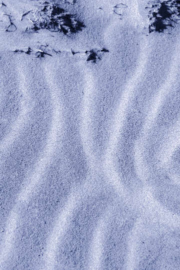 Lost In Blues