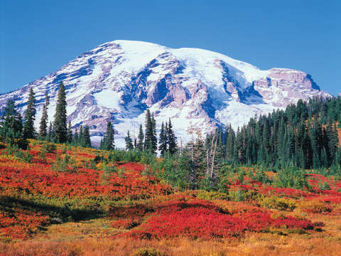 Mt. Rainier Autumn Portrait #1