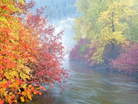 Autumn on Nason Creek