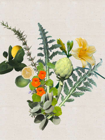 Eat This Bouquet Canvas Background