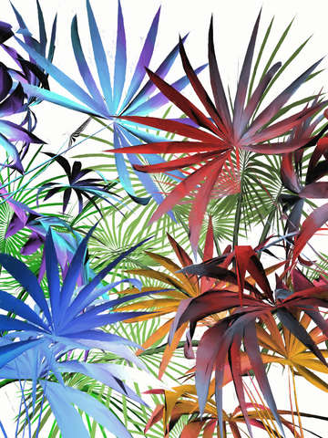 Tropical foliage