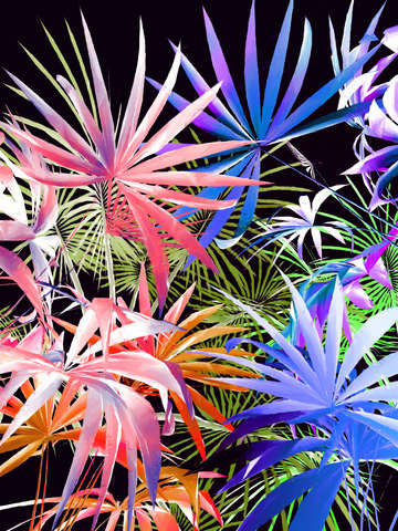 Tropical foliage 2