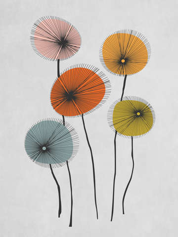 Poppies 13