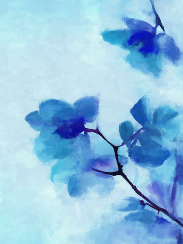 Blue floral