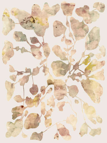 Autumnal leaves