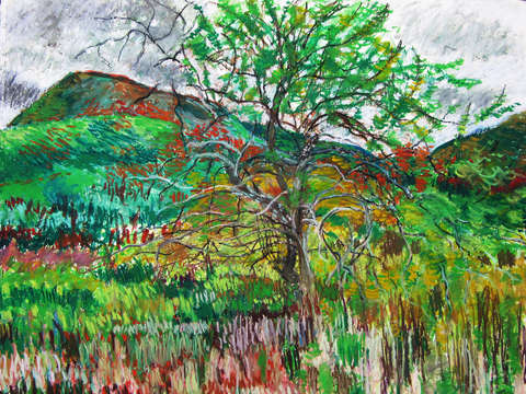 Mt norwottuck and apple trees holyoke mountain r 9