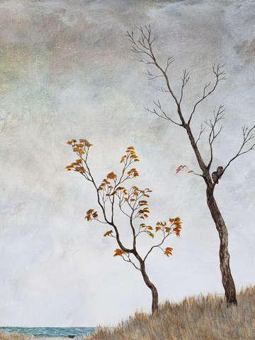 Seekers