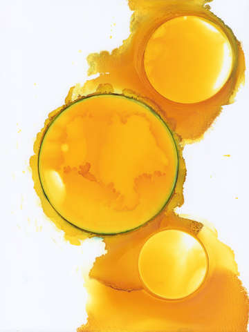 Sunny Side Up
