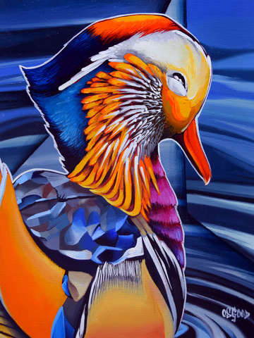 Mandarin duck