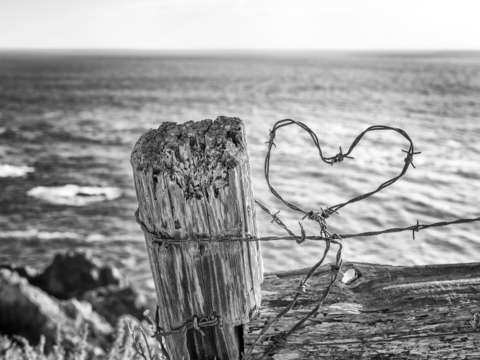 Love In Monterey, Monochrome