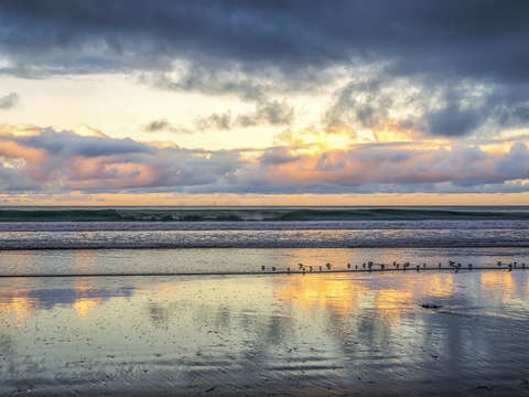 Little birds watching the sunrise