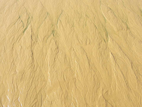 Sandscape Gold