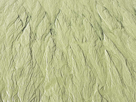 Sandscape green