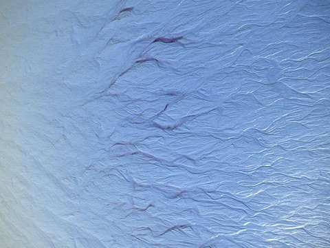 Blue Flames in the Sand