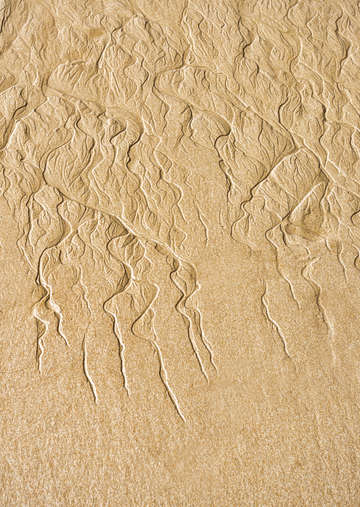 Sand Patterns